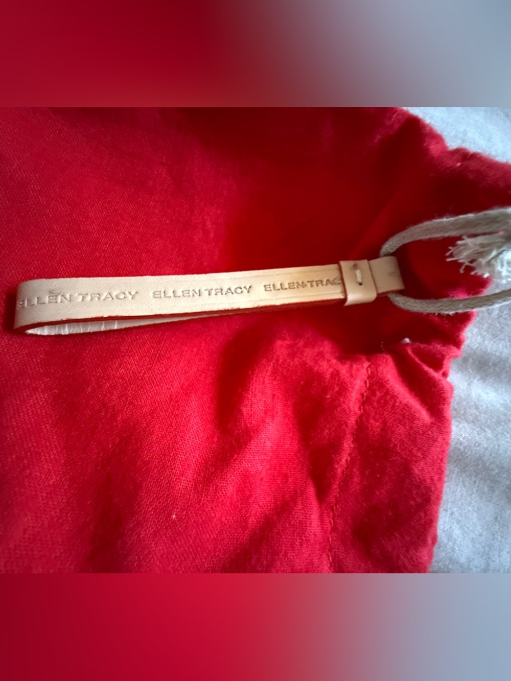 Ellen Tracy Dust Cover Bag Red